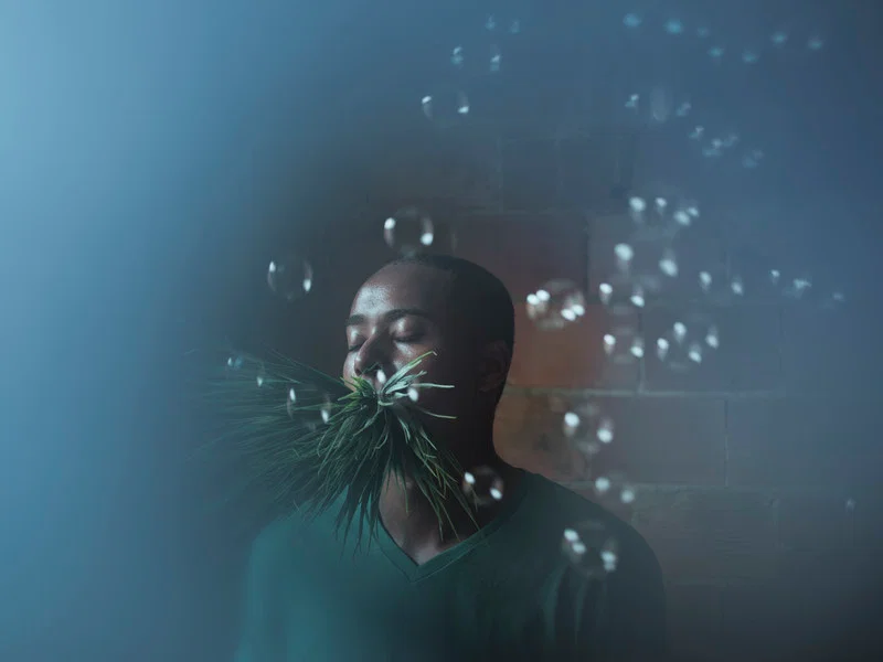 Cristina de Middel · Sharkification
