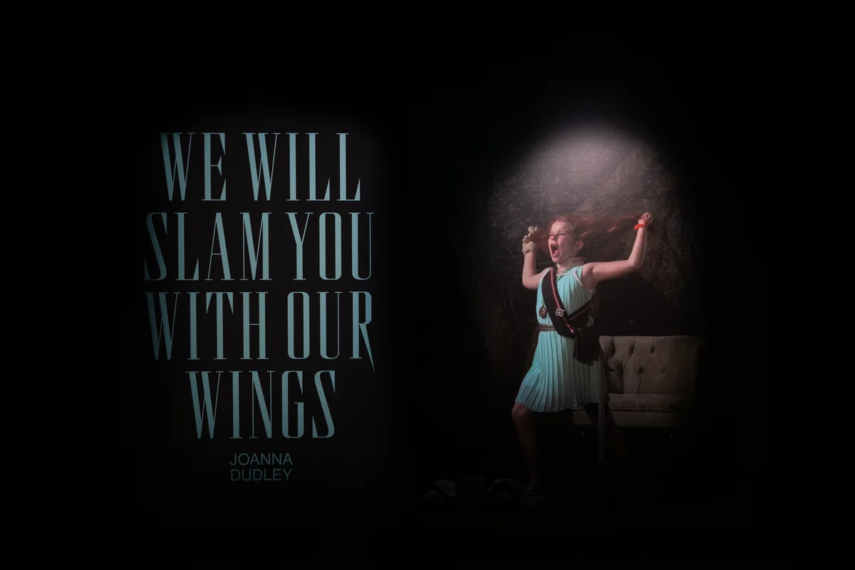 Joanna Dudley — We Will Slam You With Our Wings