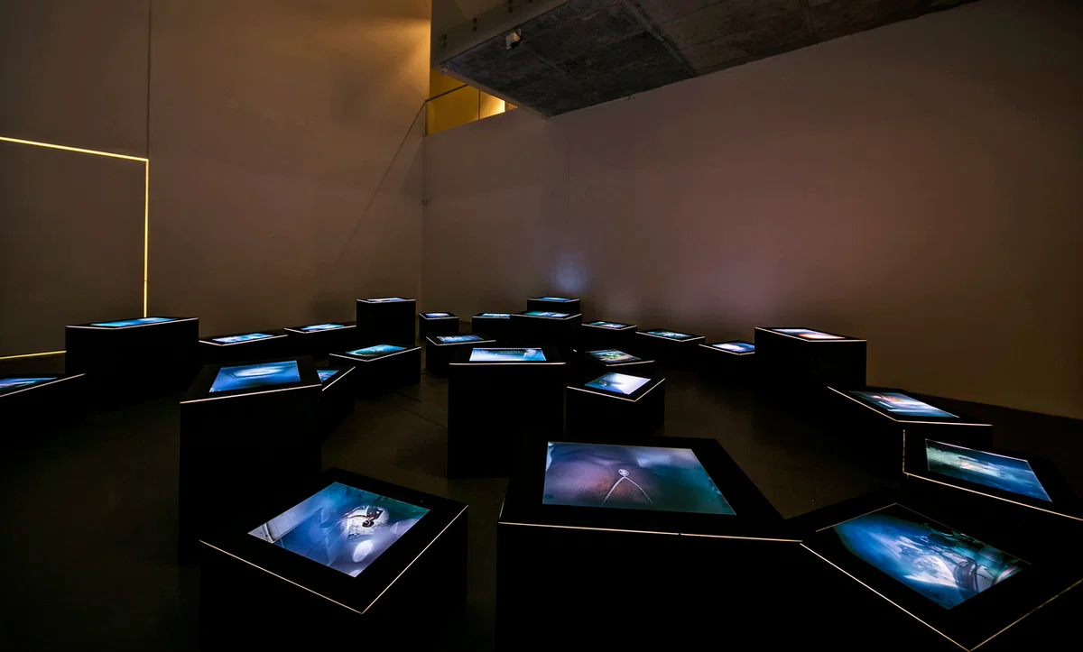 Organ Vida · Exhibition and public programme documentation