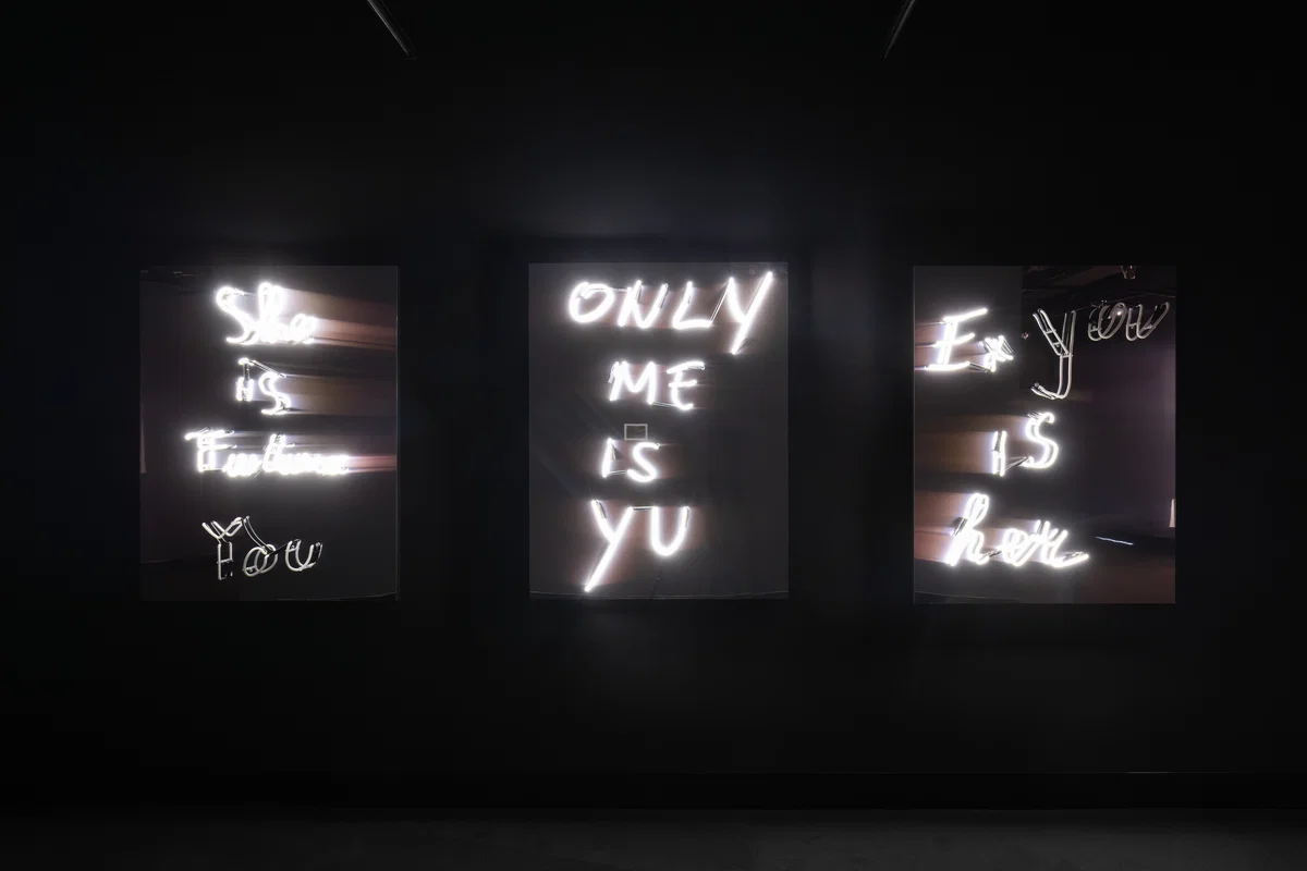 Šejla Kamerić — EX YOU