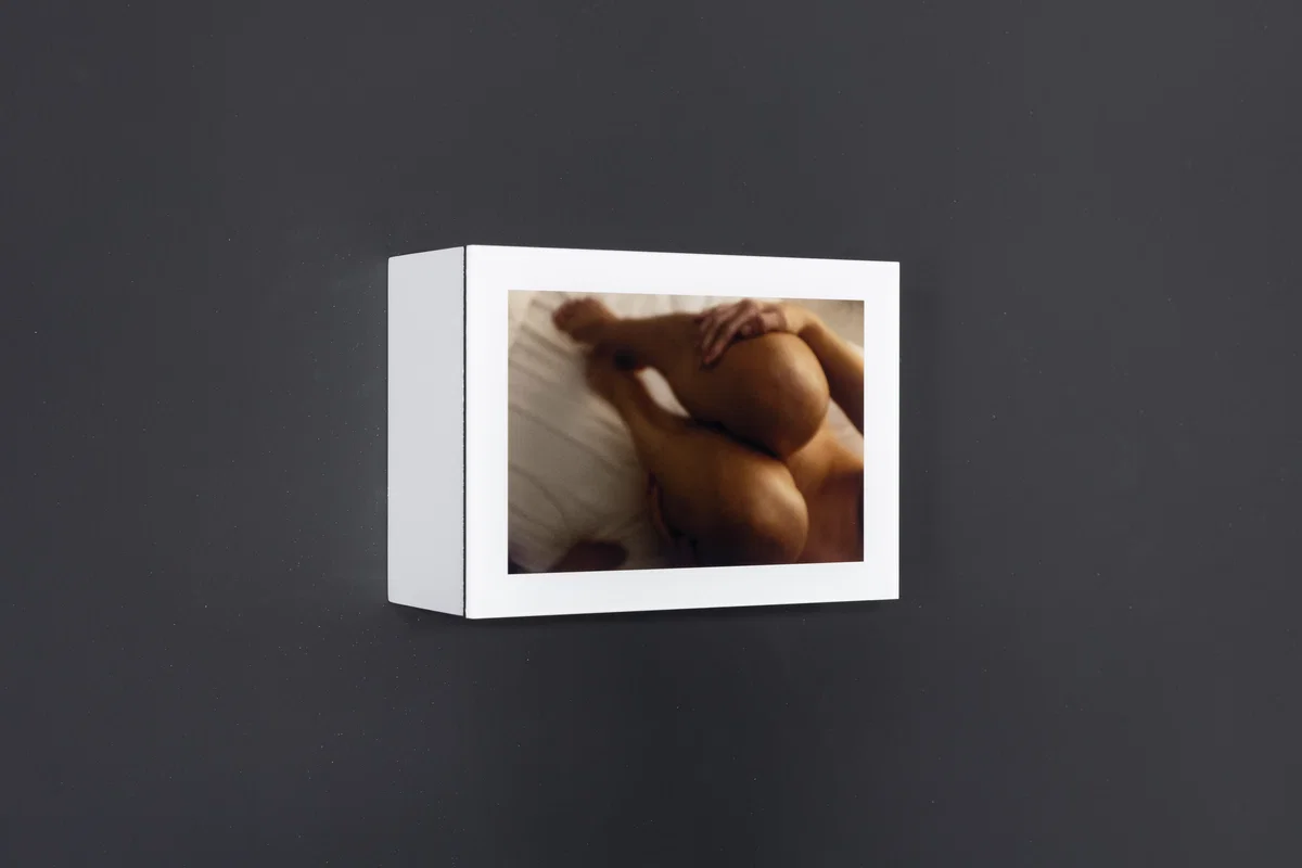 Šejla Kamerić — EX YOU