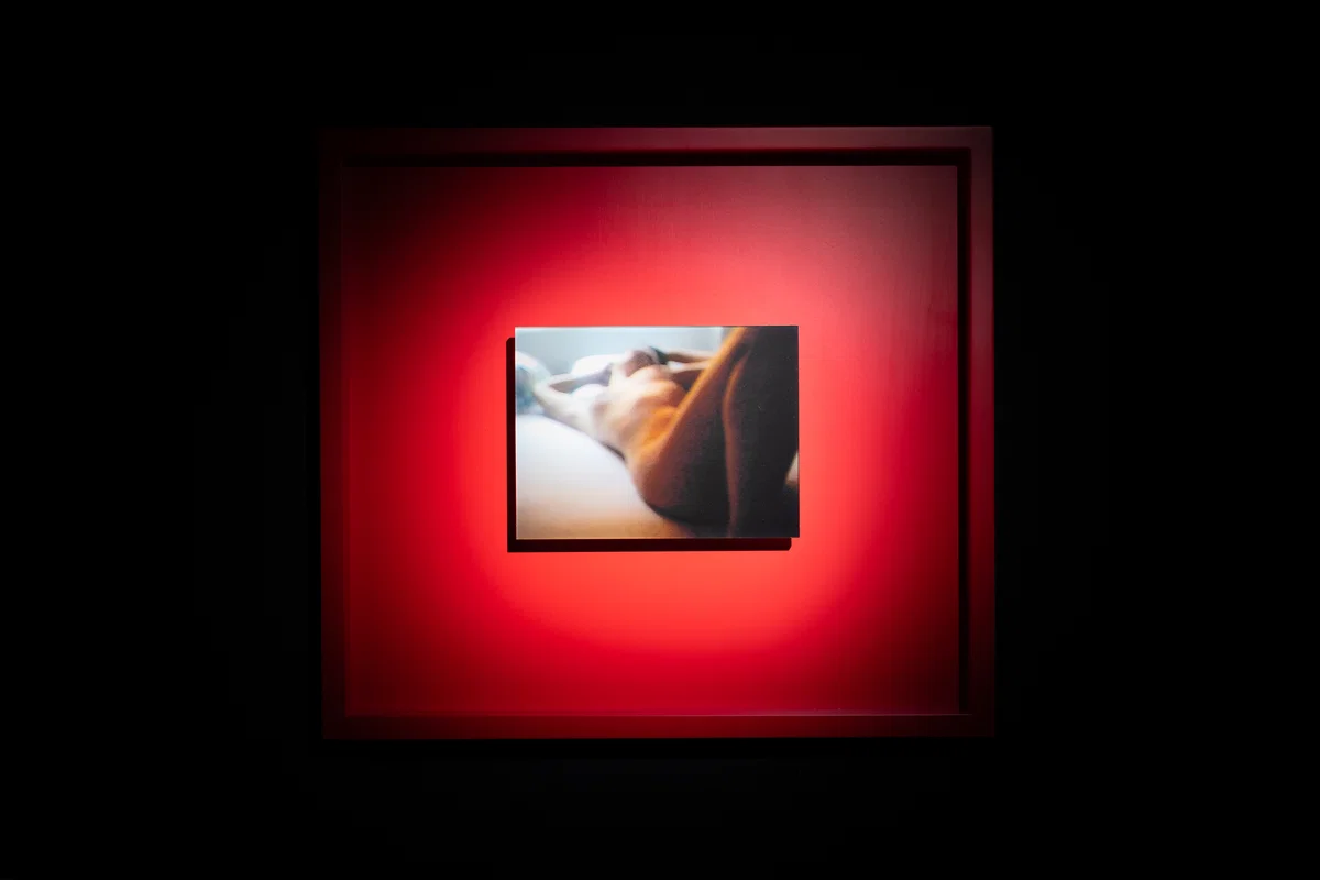 Šejla Kamerić — EX YOU