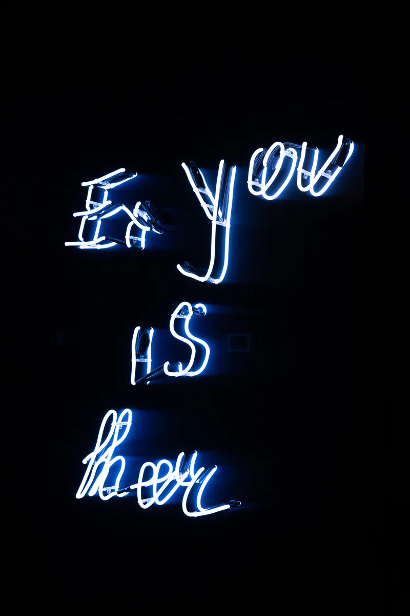 Šejla Kamerić — EX YOU