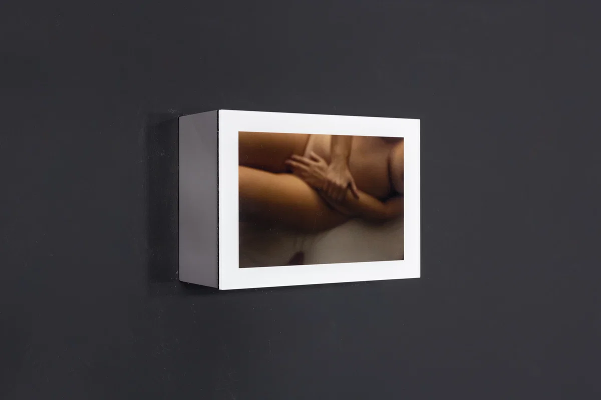 Šejla Kamerić — EX YOU