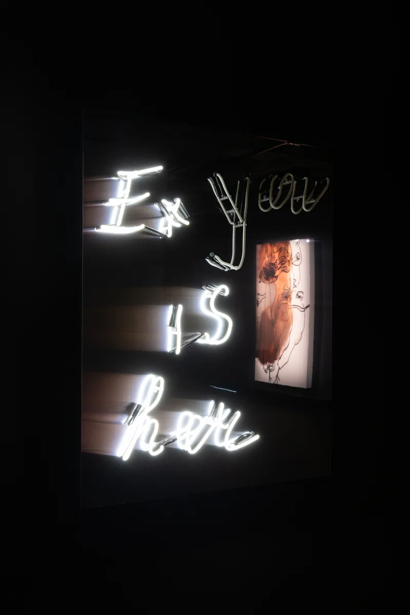 Šejla Kamerić — EX YOU