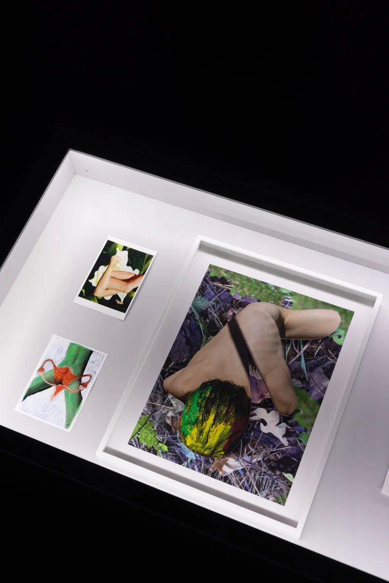 Viviane Sassen — The Body as Sculpture